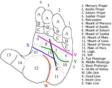 astrology palmistry