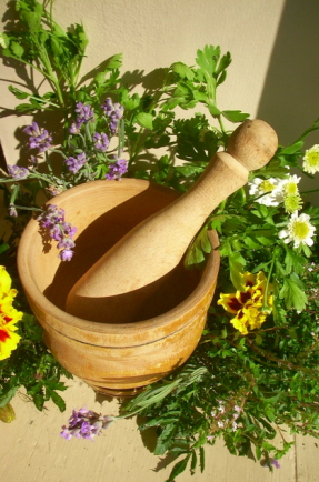herbs2